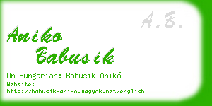 aniko babusik business card